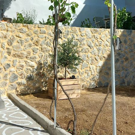 Rustic Private Cottage W/ King Bed In Galanado Naxos المظهر الخارجي الصورة